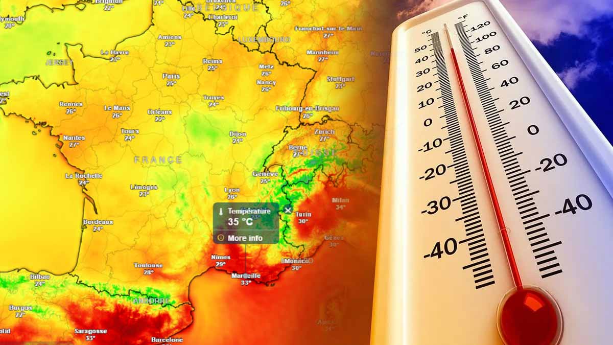 canicule