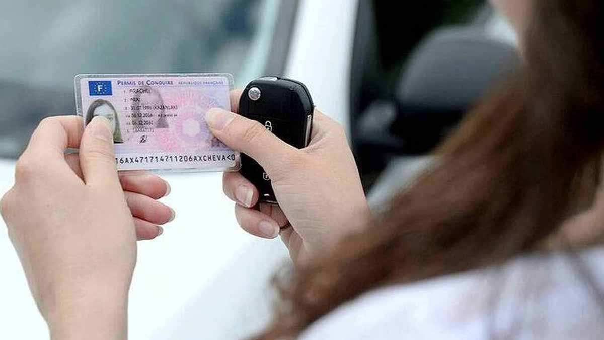 permis de conduire à vie