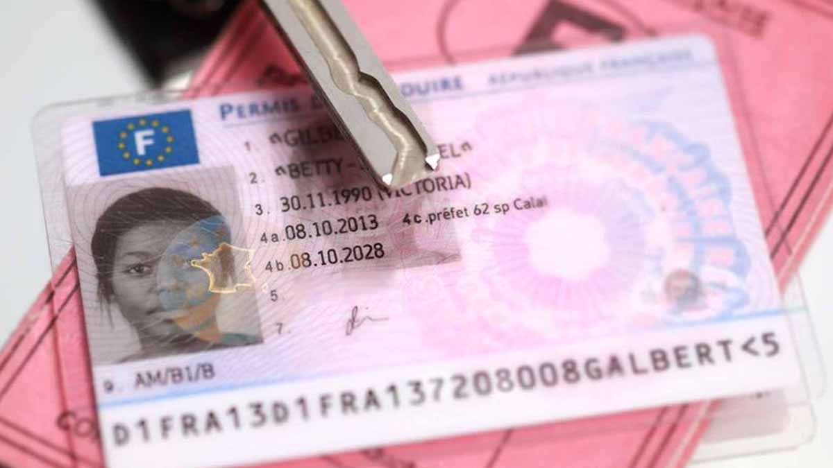 permis de conduire à vie