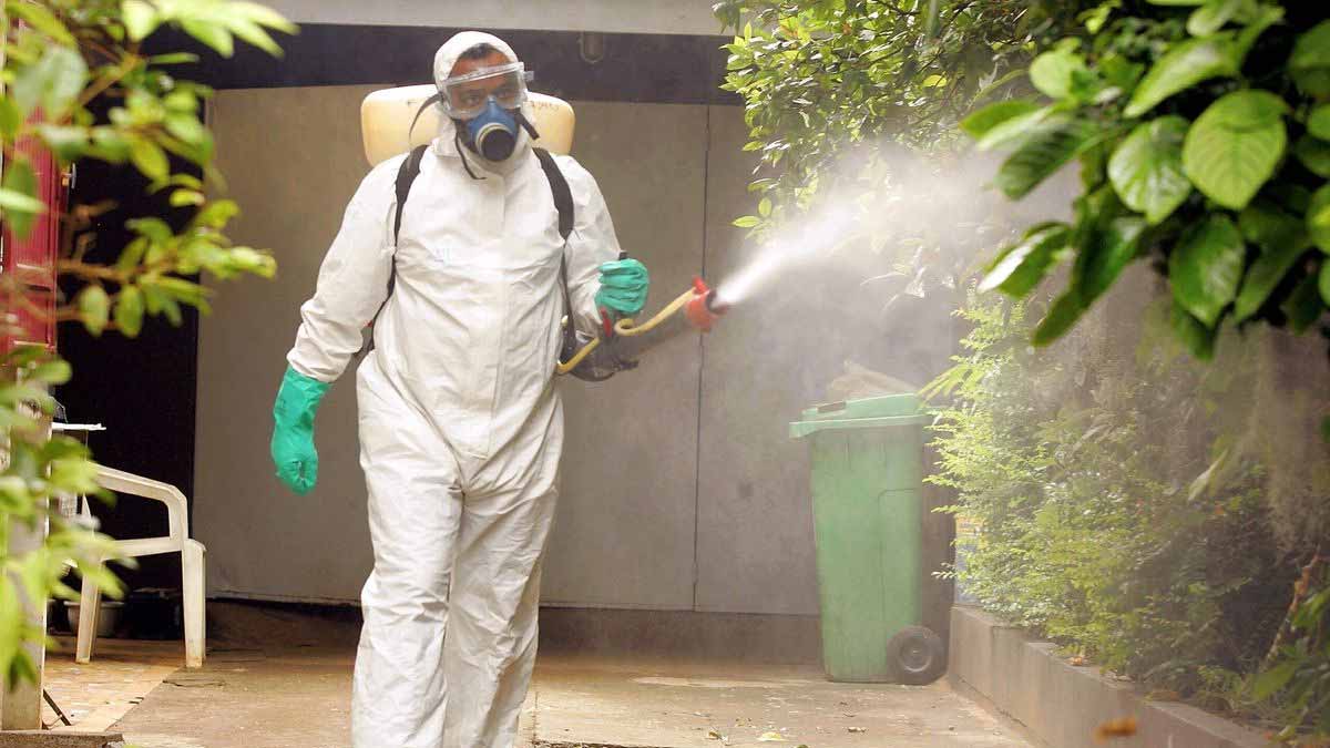 chikungunya