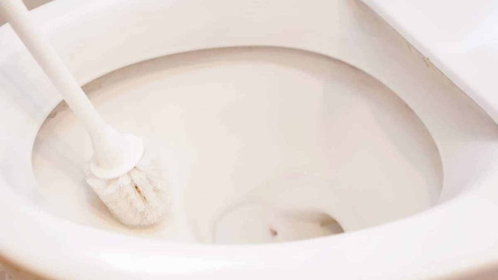 calcaire des toilettes