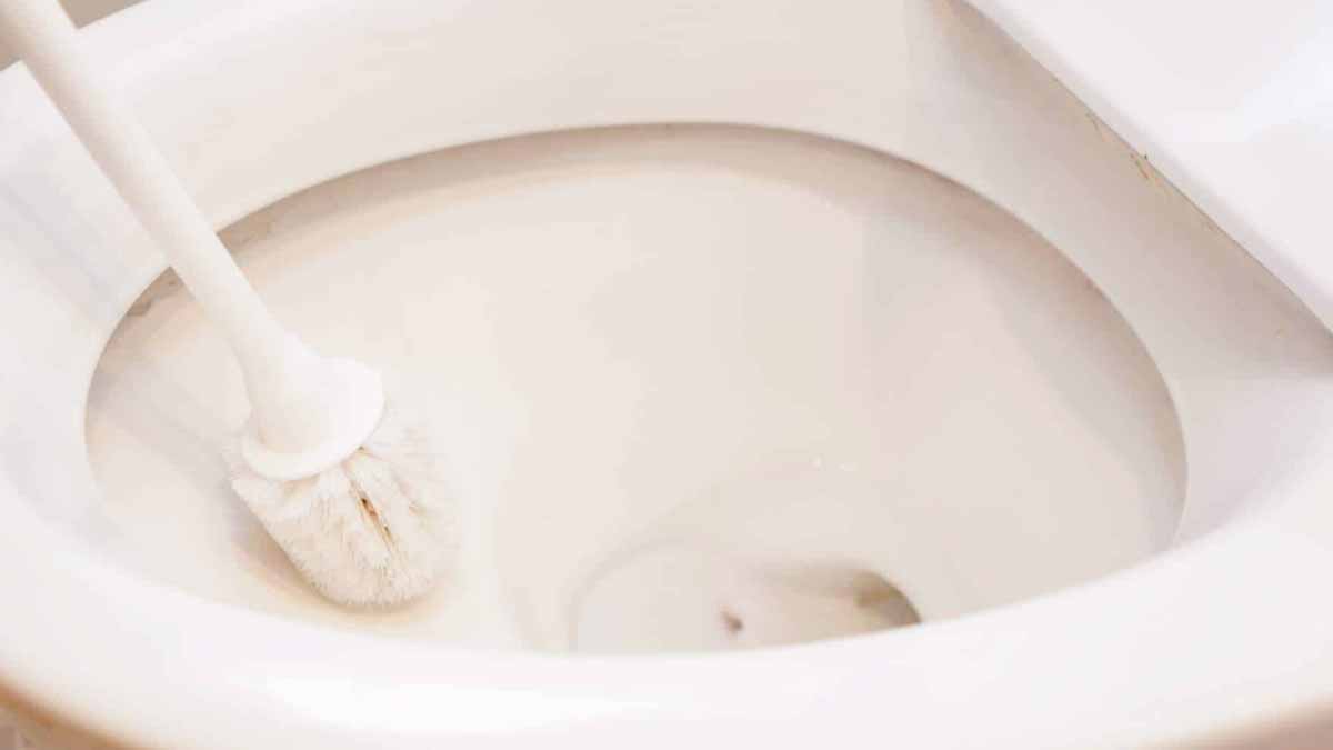 calcaire des toilettes