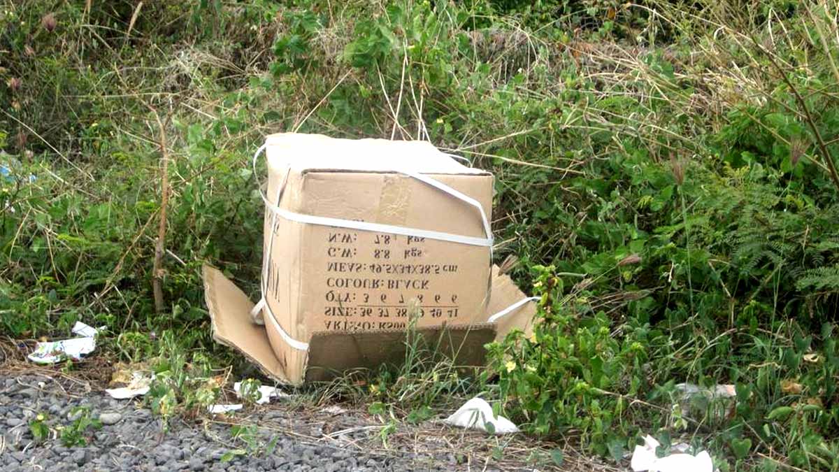 boîte en carton