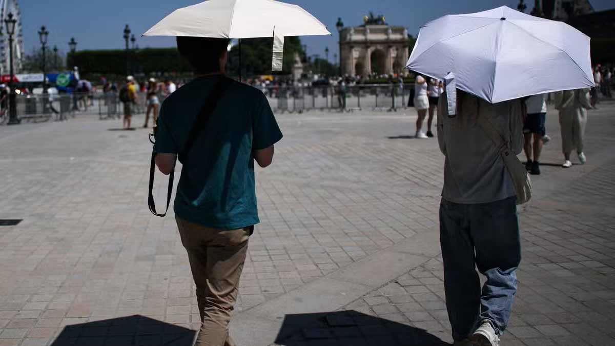 canicule