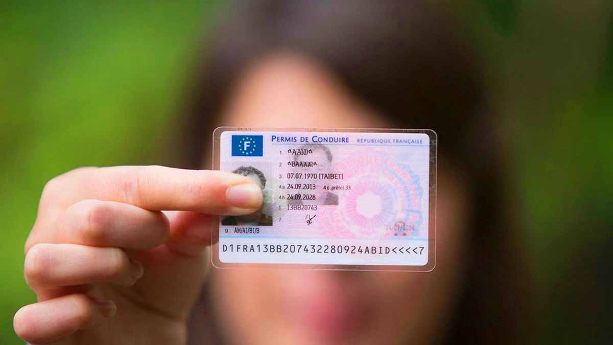 permis de conduire