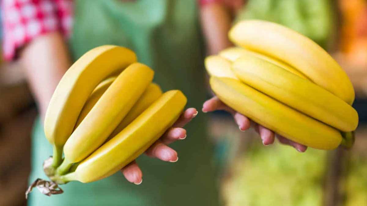 conserver les bananes fraîches