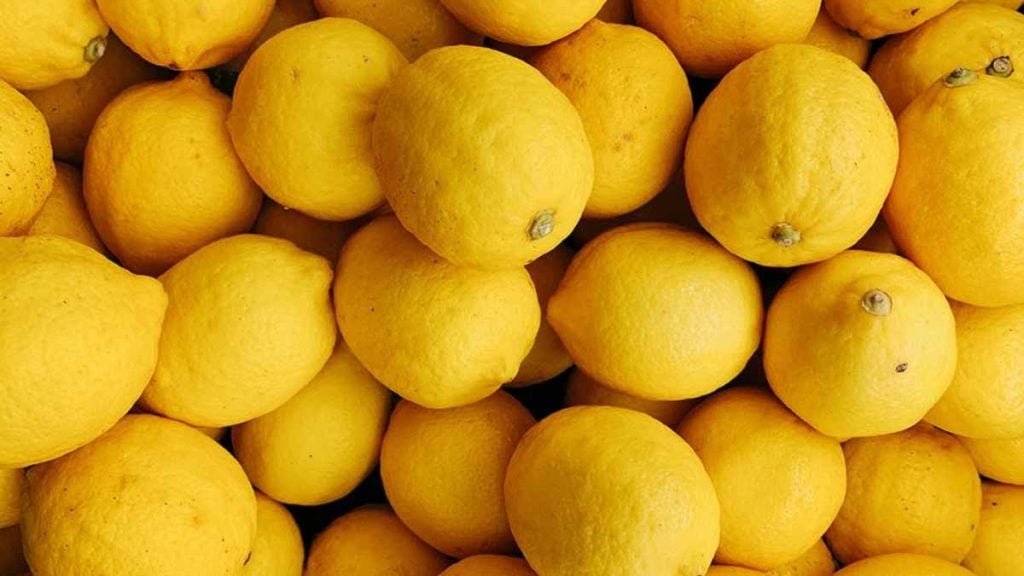 citrons