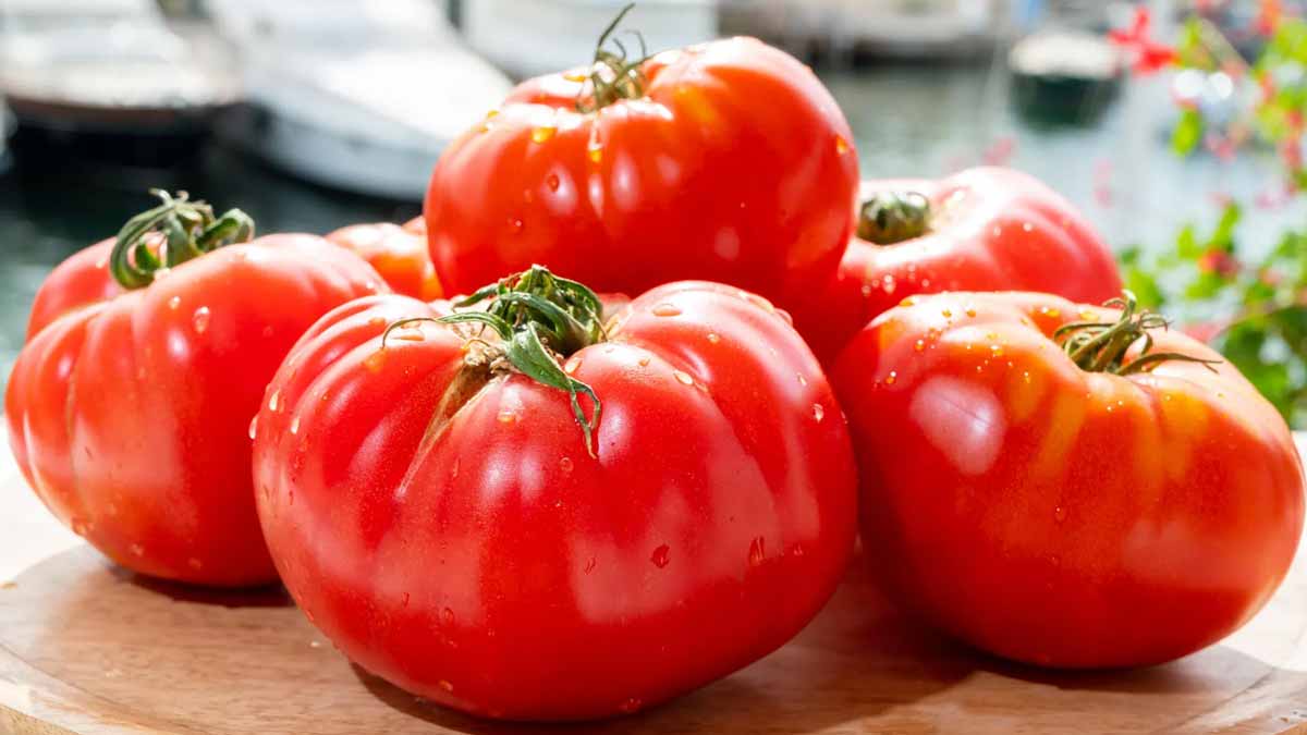 tomates