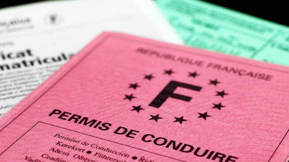 permis de conduire