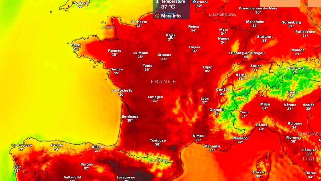 canicule