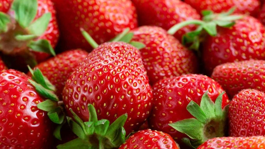 fraises