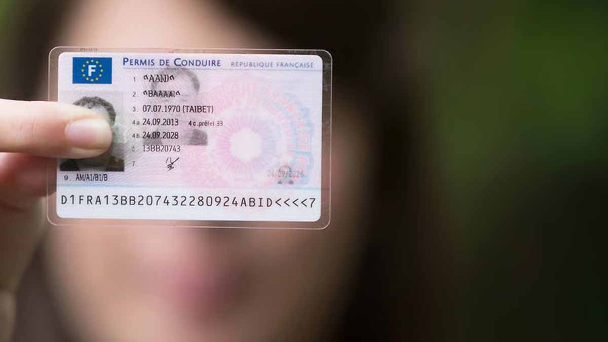 permis de conduire