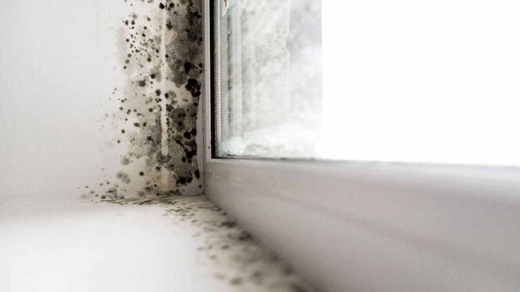 se débarrasser de l’humidité