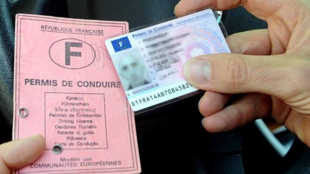 permis à point