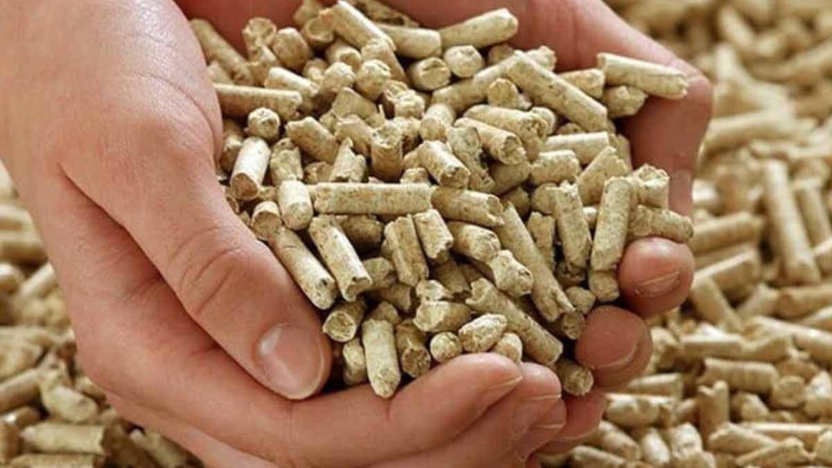 se chauffer aux pellets