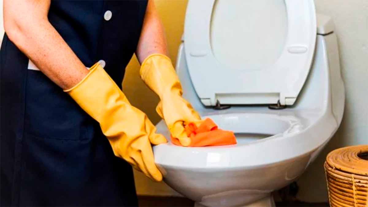 calcaire au fond des toilettes