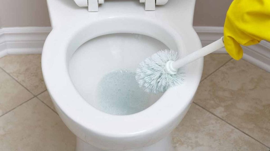 calcaire des toilettes