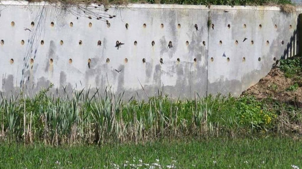 mur de nids artificiels