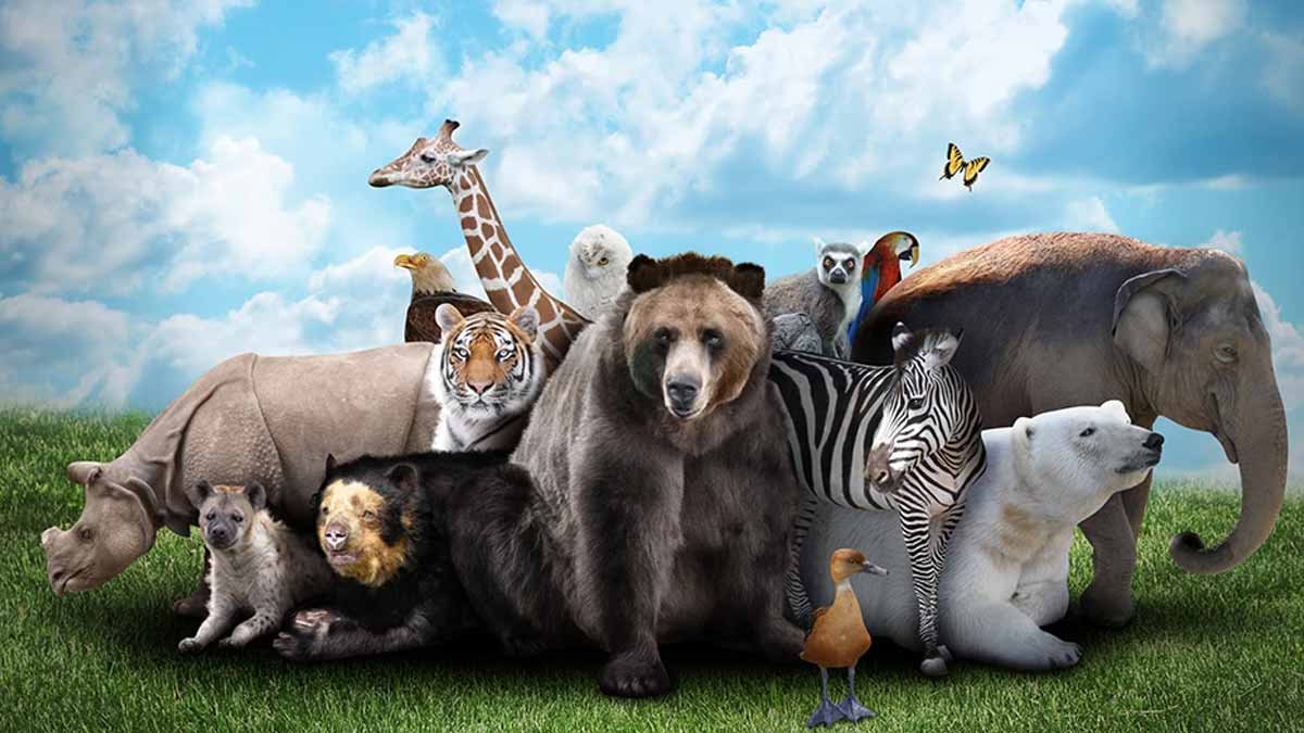 zoo sans animaux