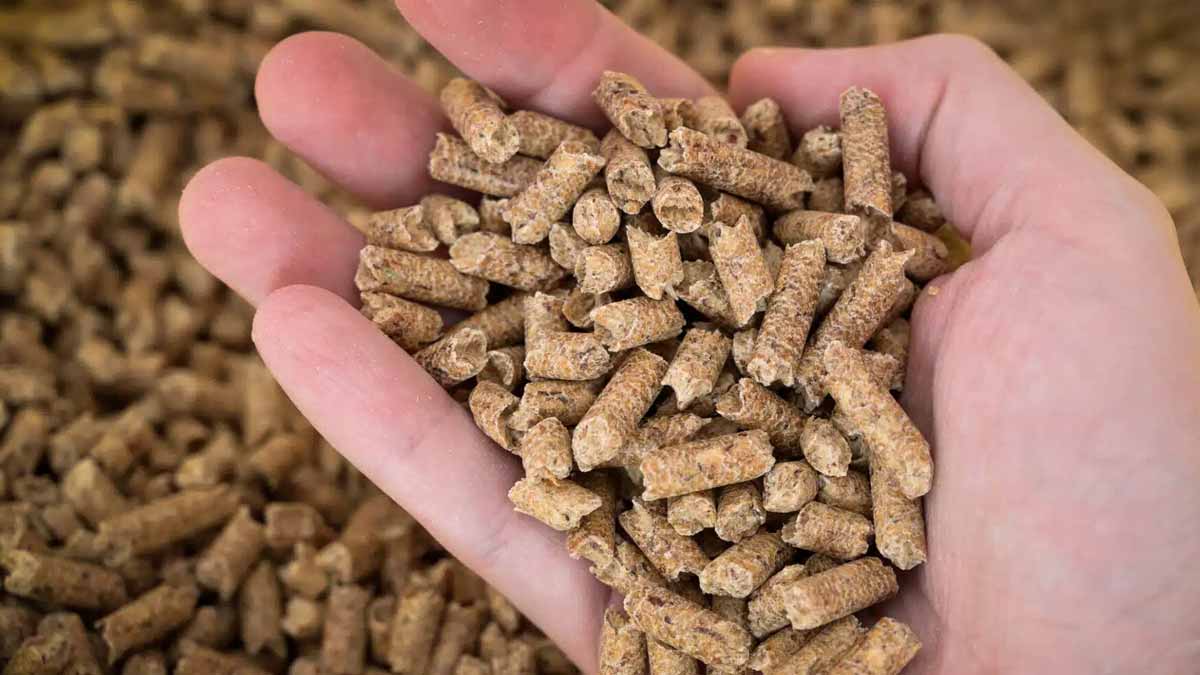 pellets