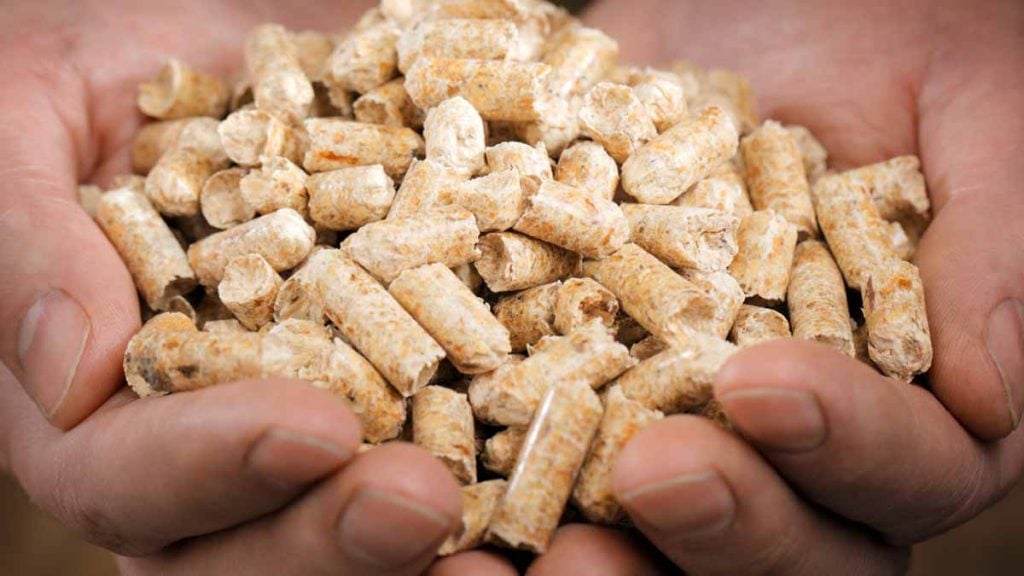 pellets