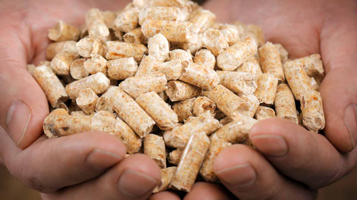 pellets
