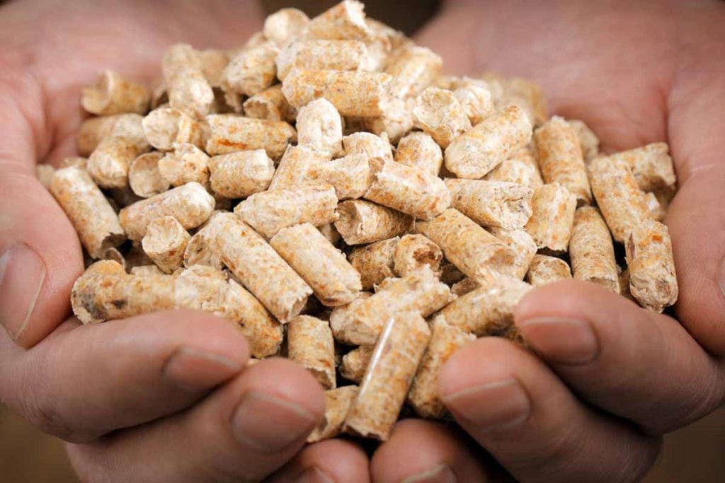pellets