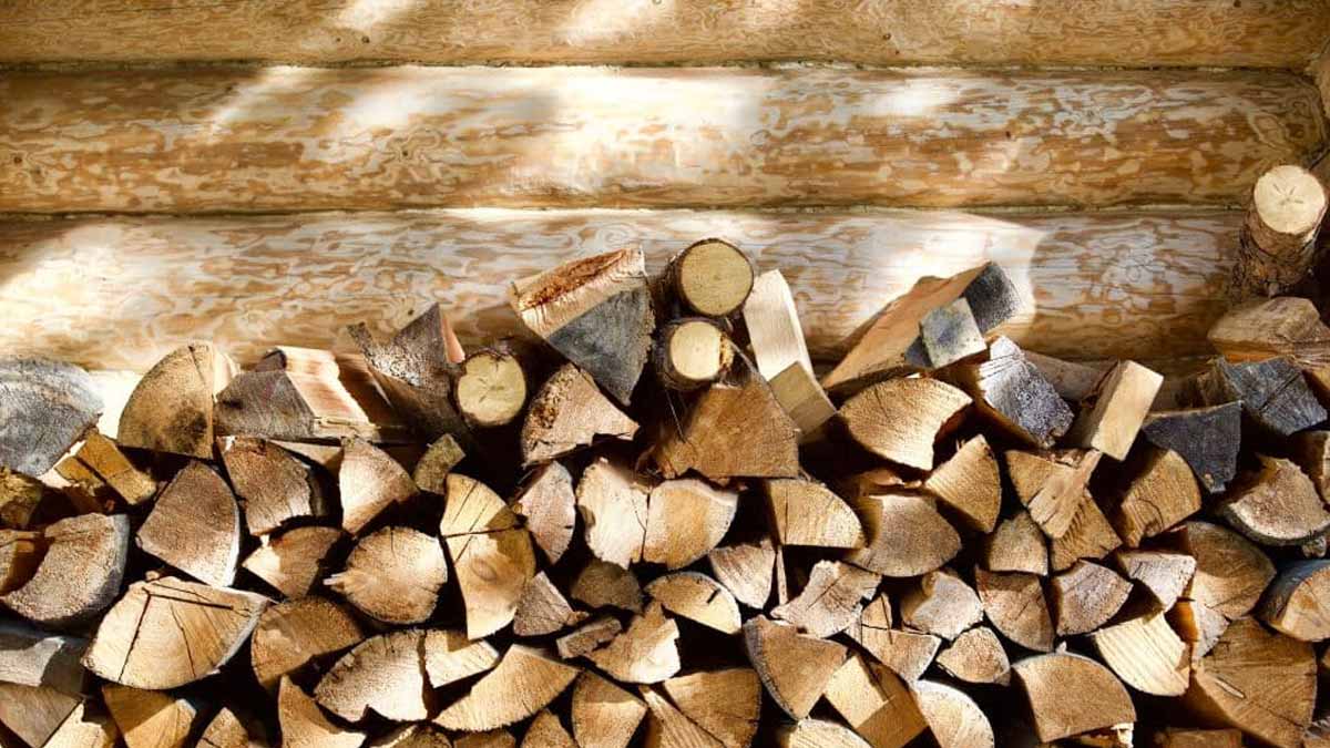bois de chauffage