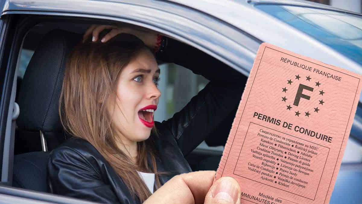 permis de conduire