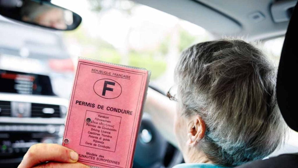 permis de conduire