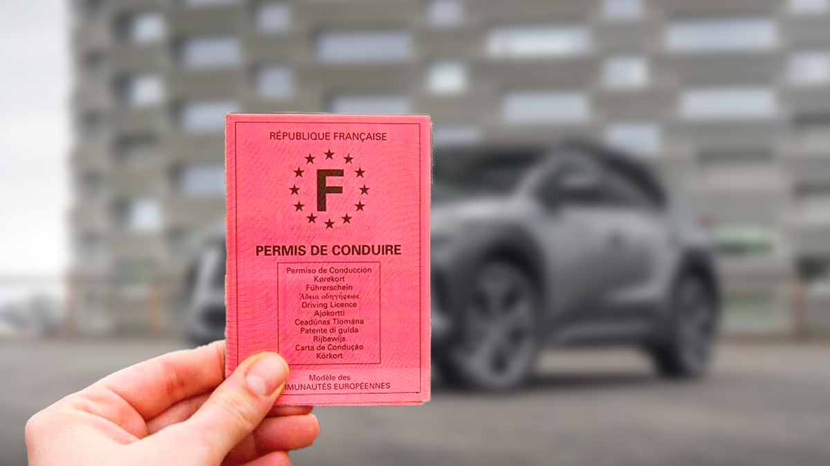 permis de conduire