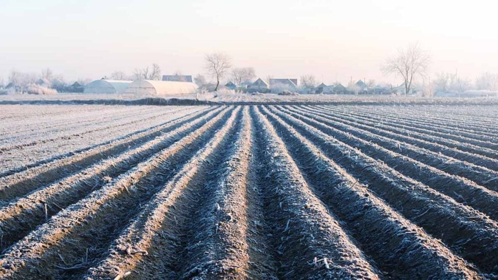 travaux agricoles