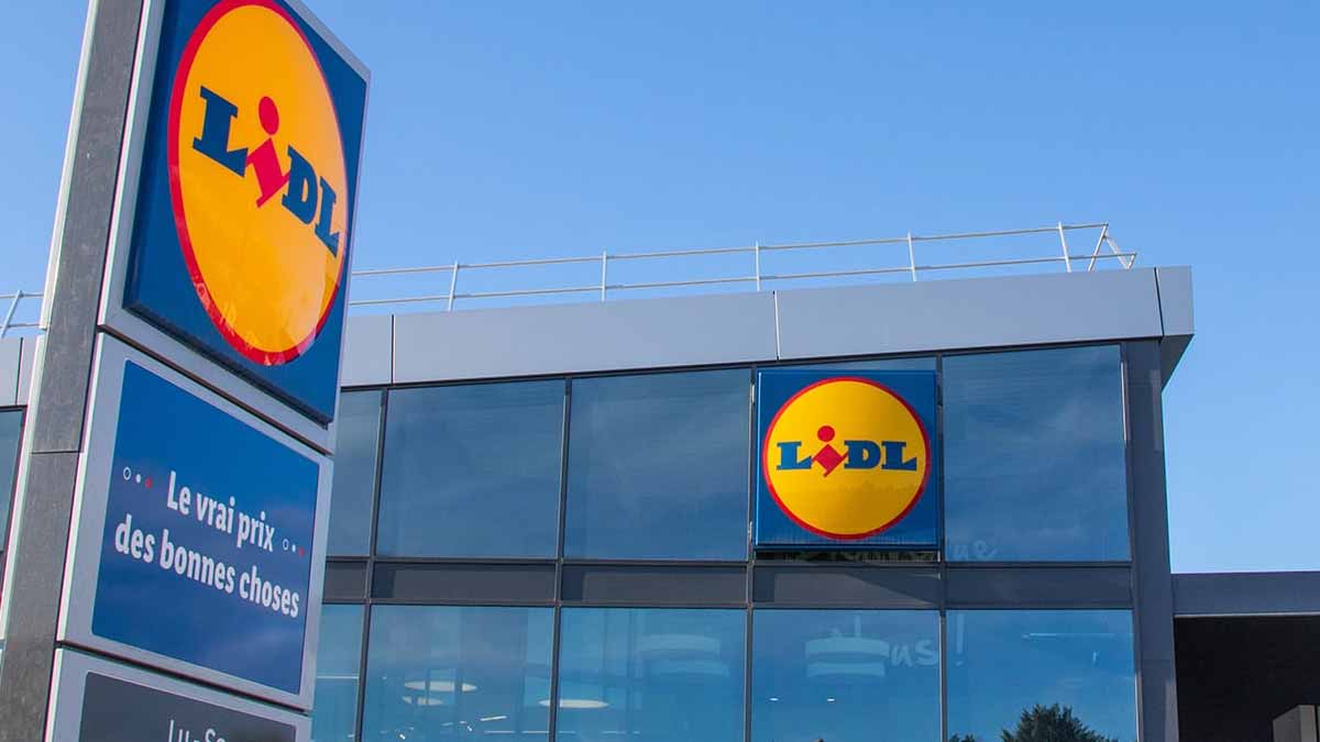 plante métamorphose