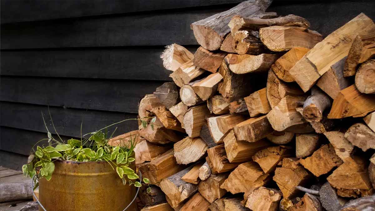 bois de chauffage